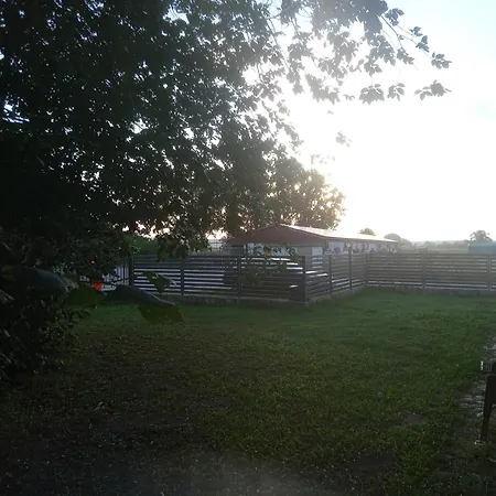 Beier * Neustrelitz